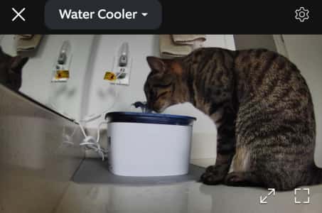 veken 95oz 2.8l pet fountain reviews
