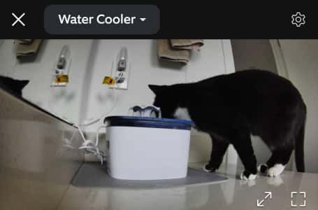 veken pet fountain reviews